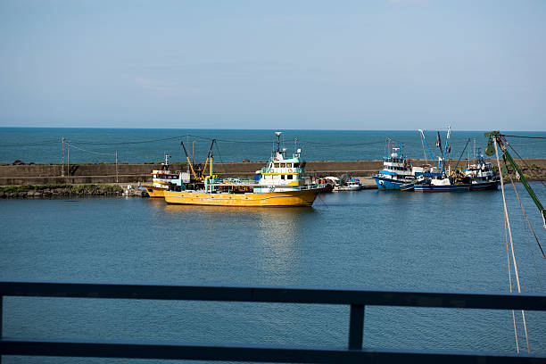 giresun chat odaları